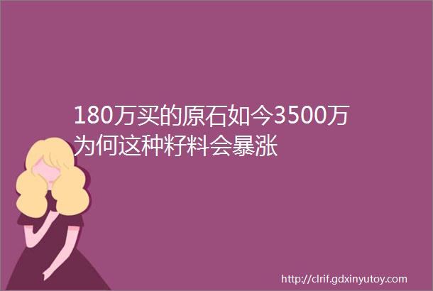 180万买的原石如今3500万为何这种籽料会暴涨